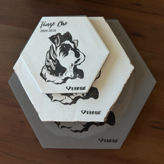 6.25" Personalized Hex Tile - Custom Photo Illustration Laser Engraved